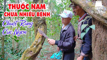 LÊN RỪNG TÌM THUỐC CHỮA BỆNH | CÔNG DỤNG TUYỆT VỜI TỪ NHỮNG THẢO DƯỢC TÂY NGUYÊN | GiàLàngTâyNguyên