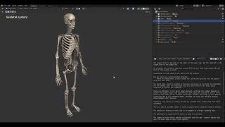 10 Basics of Blender: Appending Z-Anatomy