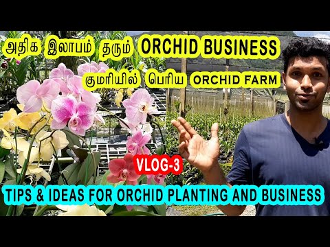 Tips & Ideas for Orchid Planting and Business