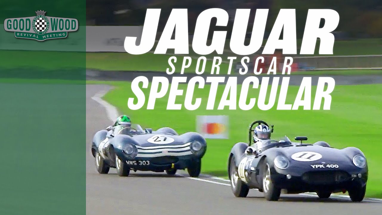 Sliding Jaguar D-type and Lister battle at Goodwood