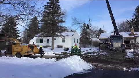 Time Lapse Video of Crane-Assisted Tree Removal with Crane in Rosemount MN