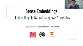 Sense Embeddings (Embeddings in NLP)