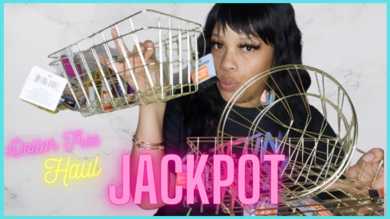 DOLLAR TREE HAUL I hit the Jackpot AMAZING ORGANIZATION BINS HIGH