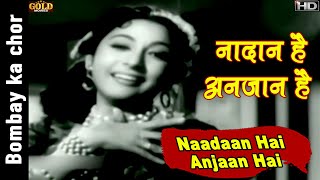 Naadaan Hai Anjaan Hai - Bombay Ka Chor - Asha Bhosle - Kishore Kumar,Mala Sinha - Video Song