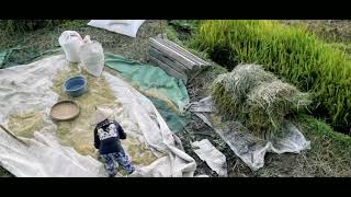 puisi sunda tentang guru #fkipunidabogor #faipgunida ibu Novi maryani