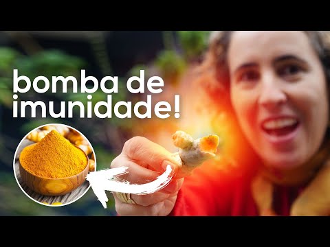 Vídeo: Cúrcuma: Cultivo E Uso