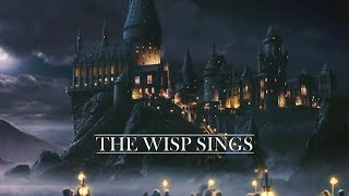 Video thumbnail of "Hogwarts is my home."