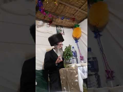 הרב אליהו גודלבסקי | סוכות גדרה