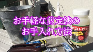 お手軽な剪定鋏のお手入れ方法