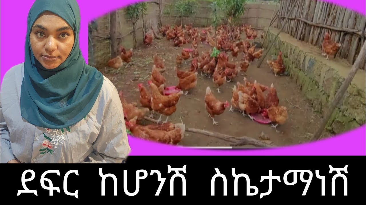 የቤተሰብ እገዛ አያስፈልግም_ለአረብ ሀገርሴት_እመኑኝ ትችላላችሁ