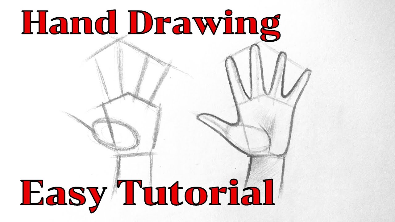 How to draw hand/hands easy for beginners Hand drawing easy step by ...