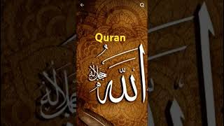 Download Lagu quran __massa Allah nat #bayan #mrbeast #duet #allah #love#motivation #quraninurdu#food#deen #quotes MP3 Download Lagu quran __massa Allah nat #bayan #mrbeast #duet #allah #love#motivation #quraninurdu#food#deen #quotes MP3