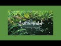 Instrumental (non classical) // Music to Study/Read/Chill to