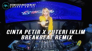 CINTA PETIR X PUTERI IKLIM BREAKBEAT REMIX