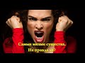 Женщины - самые добрые, честные и любящие существа. Смешно! (Бред Меняйлова)