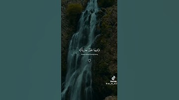 القارئ اسلام صبحي اكتب شيء تؤجر عليه 🦋💗
