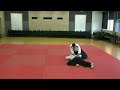 Aikido at WCG - Preparation video / Serbia (Enes Korać)