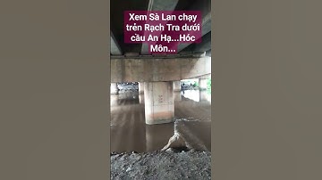 Xem Sà Lan chạy trẻn kênh xáng dưới cầu An Hạ...Hóc Môn... #shorst #tldd #saigon