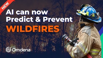 Can AI Prevent Wildfires? Absolutely