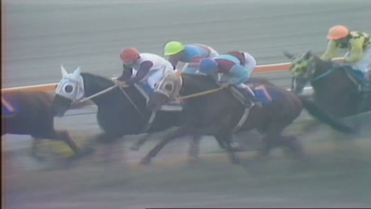 シンザン 昭和40年天皇賞 競馬パネル 日刊スポーツ 貴重映像・昭和レトロ】最強の戦士 シンザン 1965年有馬記念