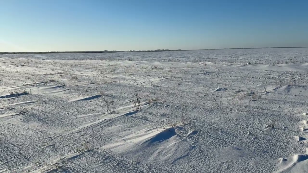 1108. 🎼. Ансамбль имени А. В. Александрова -  «Ах , ты степь широкая»