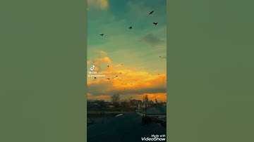 سوره الضحي بصوت مميز جدا #قرآن #راحه_نفسيه #سورة_الضحي