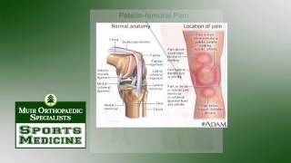 Muir Orthopaedics Tip Muir Orthopedic Tip Hip Pointer