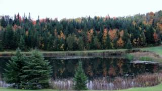 Fall Foliage Trip 2012