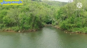 سورة الأنعام من آية٥٩ إلى ٧٣ بصوت محمد بسيوني #حفظ #مراجعة #تثبيت