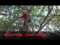 Pruning Live Oak For Health & Safety.mov