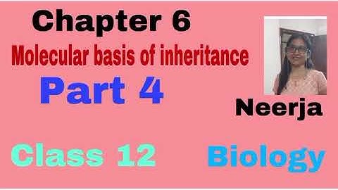 Biology,class12,chapter6,Human genome project,part 4 /5 ,by neerja,with MCQ test