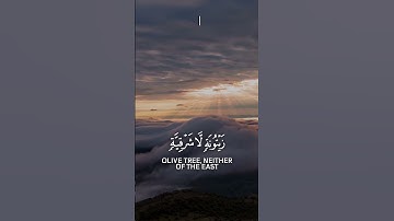الله نور السموات والأرض  سورة النور SURAH AN NOOR #عبدالولي الاركاني #abdulwali alarkani