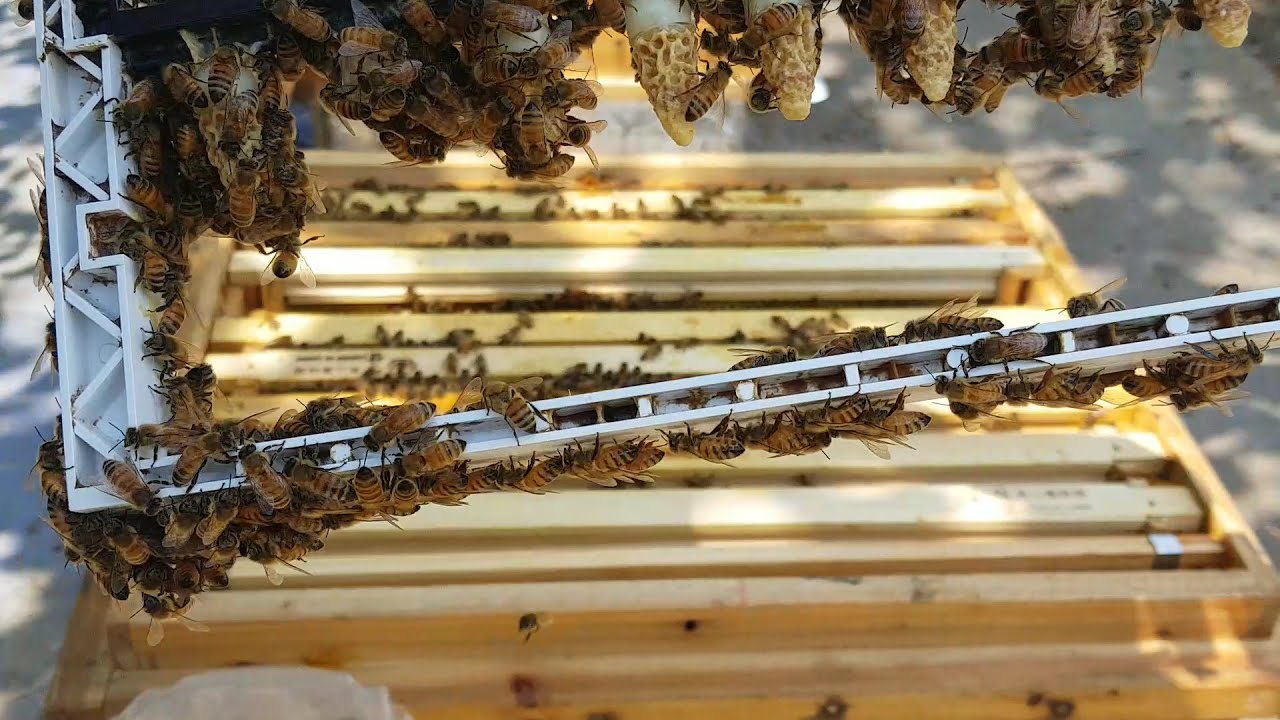 성공률 높이는 분봉방법 21-5-29일