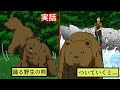 野生の熊出没。襲われることはなく...1つの愛を見た。【実話マンガ動画】