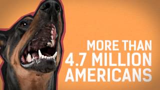Dog Bites and Home Insurance Claims