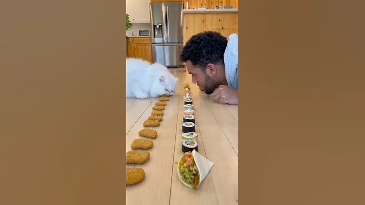 Video 11712731: cat vs persian