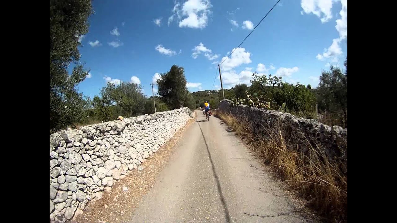 BikeToursDirect in Apulia: Cycling through olive groves in Apulia