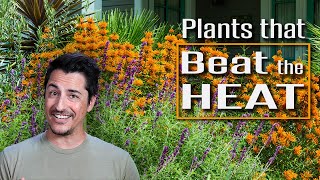 Plants that Beat the Heat! Drought and Heat Tolerant Plants