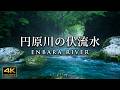4K映像 + 自然の音 / 湧水(伏流水)の流れる癒しの水音 美しいターコイズカラーの円原川