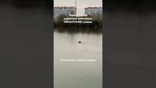 #кубань #рыбак #рыбалка #толстолобик #славянскнакубани #улов #прикормочныйкораблик #прикормка