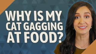 Why is my cat gagging at food? Smells That Cats Hate Why Do Cats Gag