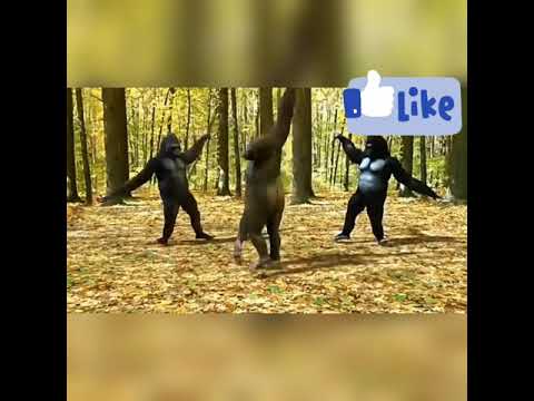 موسيقى شمس سطعت الاغنية مع الكلمات Youtube