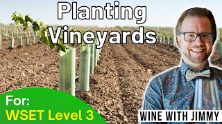 Why is vineyard site selection so important? for WSET Level 3