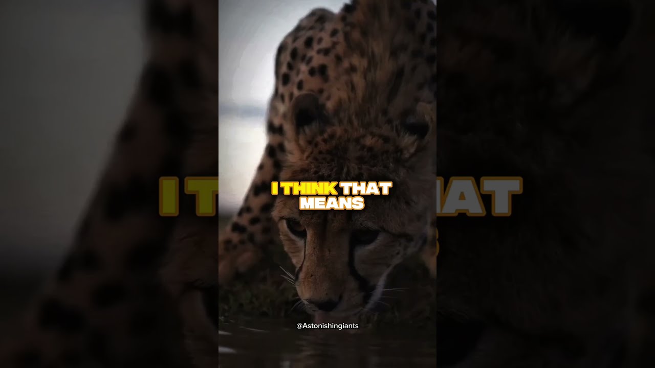 This One Phrase Changed My Life | Motivation for change