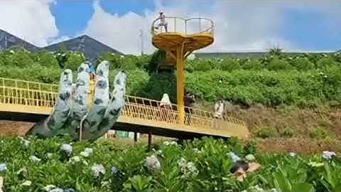 THAM QUAN VƯỜN HOA CẨM TÚ CẦU