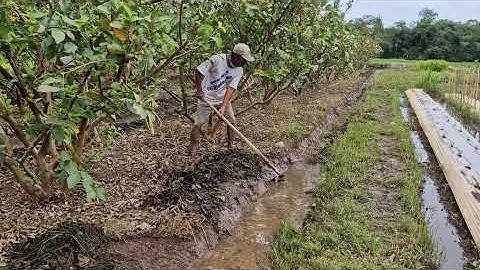 AMAZING TOOL THAT HELPS FARMERS CLEAR DITCH TRASH EFFORTLESSLY! -Agriculture Farming