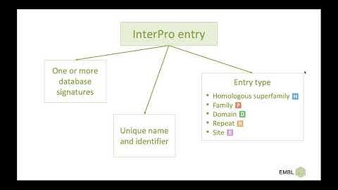Using the InterPro website in your research