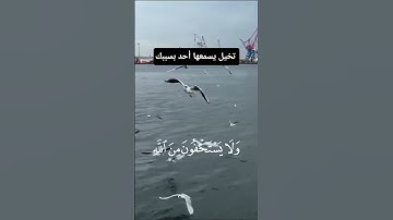 أكتب شيء تؤجر عليه شارك الأجر لغيرك #قرآن #المصحف #لايك #اكسبلور #آيات_مؤثرة #ترند #تلاوة_خاشعة