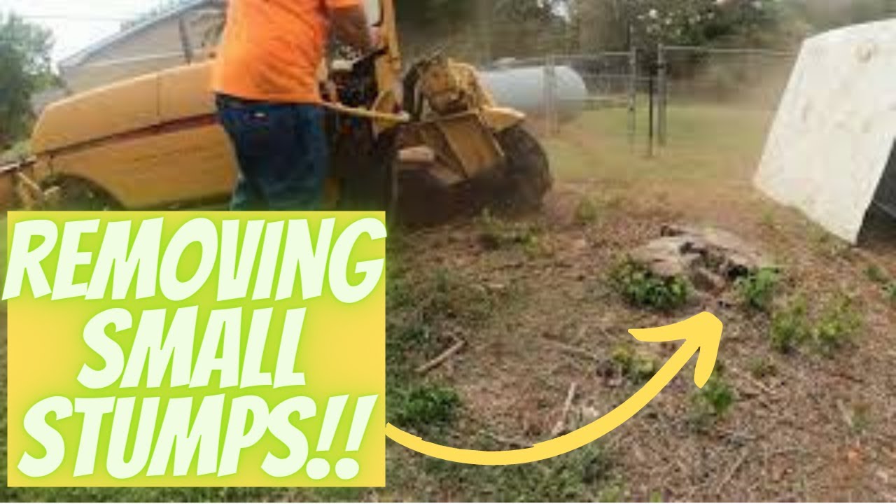 Rayco Rg50 Stump Grinder tackling small stumps - YouTube