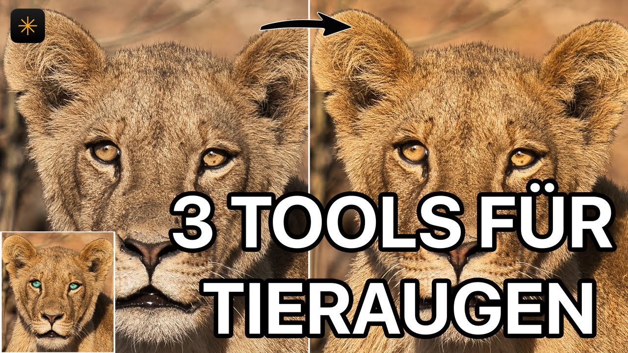 Tieraugen bearbeiten in Luminar Neo – aus langweilig wird spektakulär